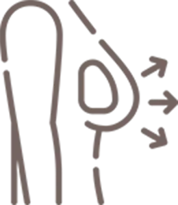 徹底した解剖学のアイコン