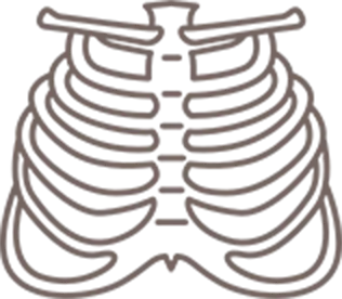 整体＆骨格調整技術のアイコン